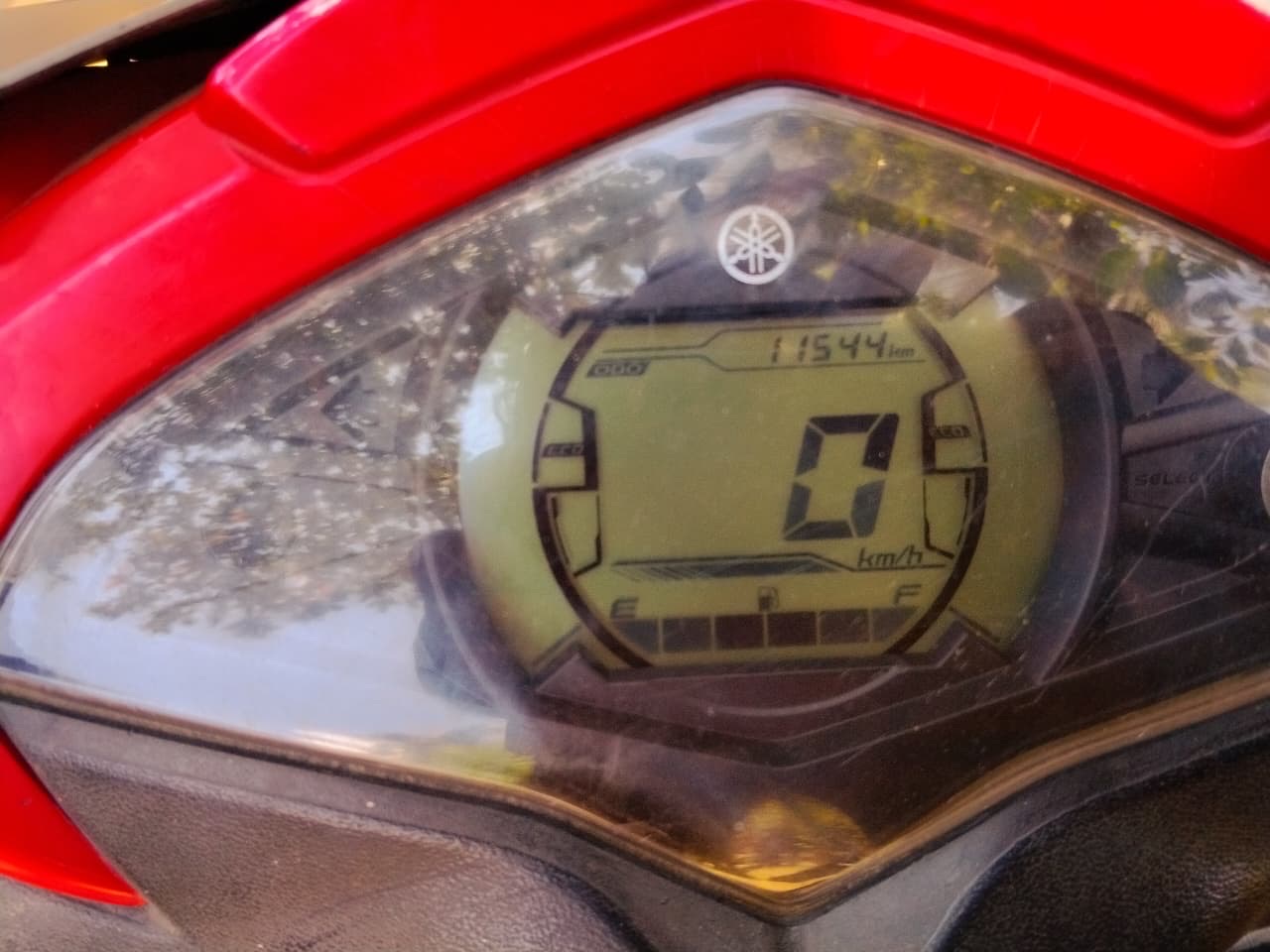 Sale Ray zr