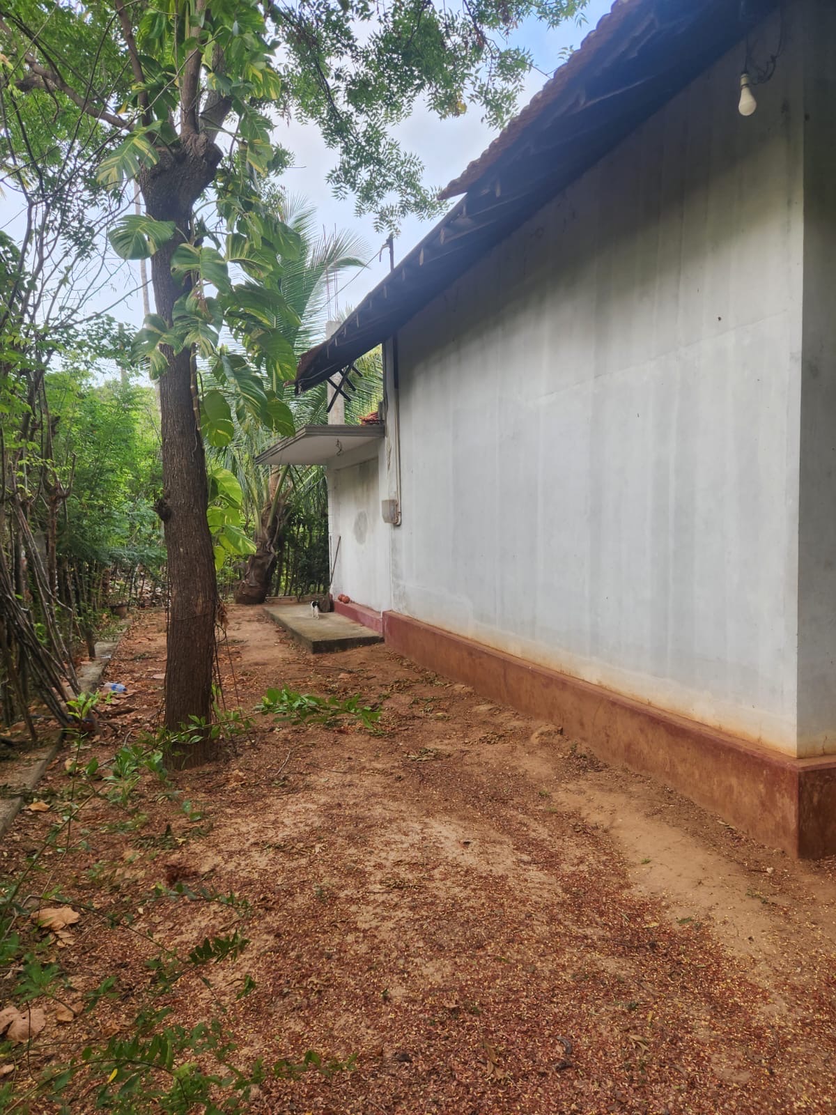 Property with home