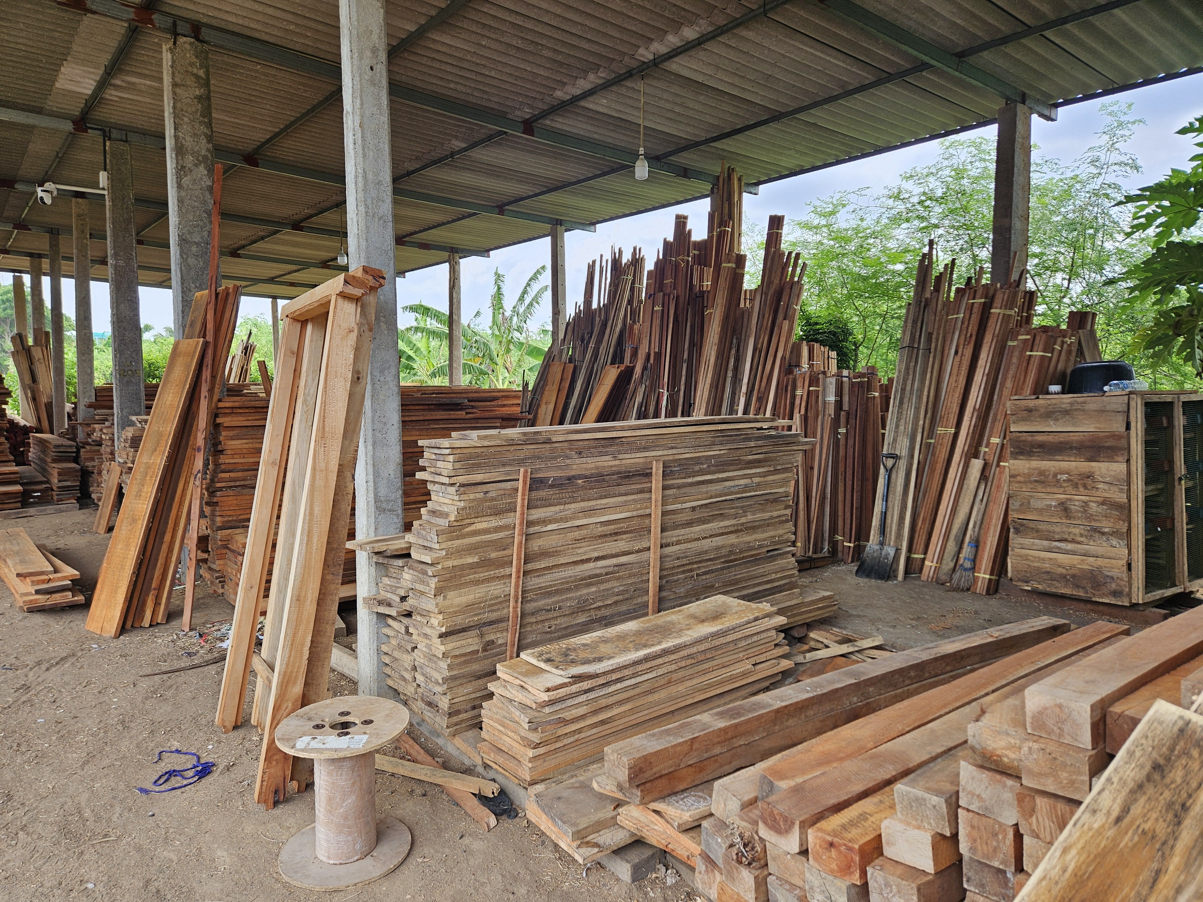 New Seylan timber